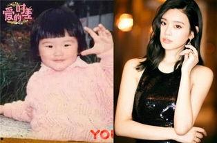 系梦瑶家背景,出身豪门，演绎现代都市传奇人生