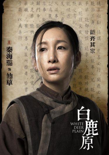 白鹿原电视剧女演员,女演员阵容惊艳亮相